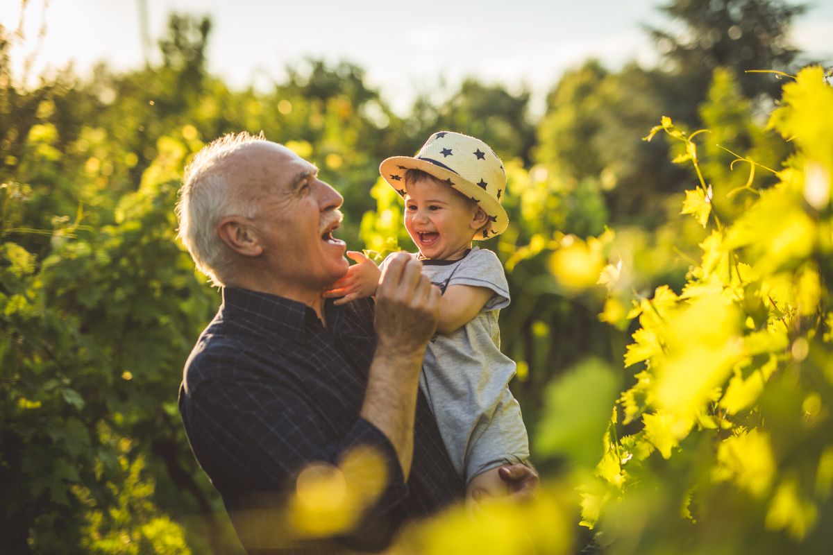 6480846130354 2025 12 19t103708.983