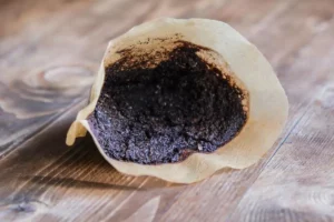 6480846130354 2025 05 14t133940.595.jpg