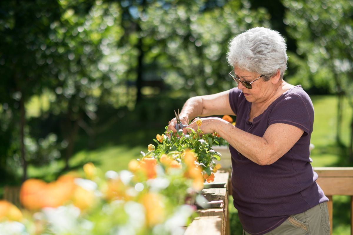 6480846130354 2026 01 02t111353.766