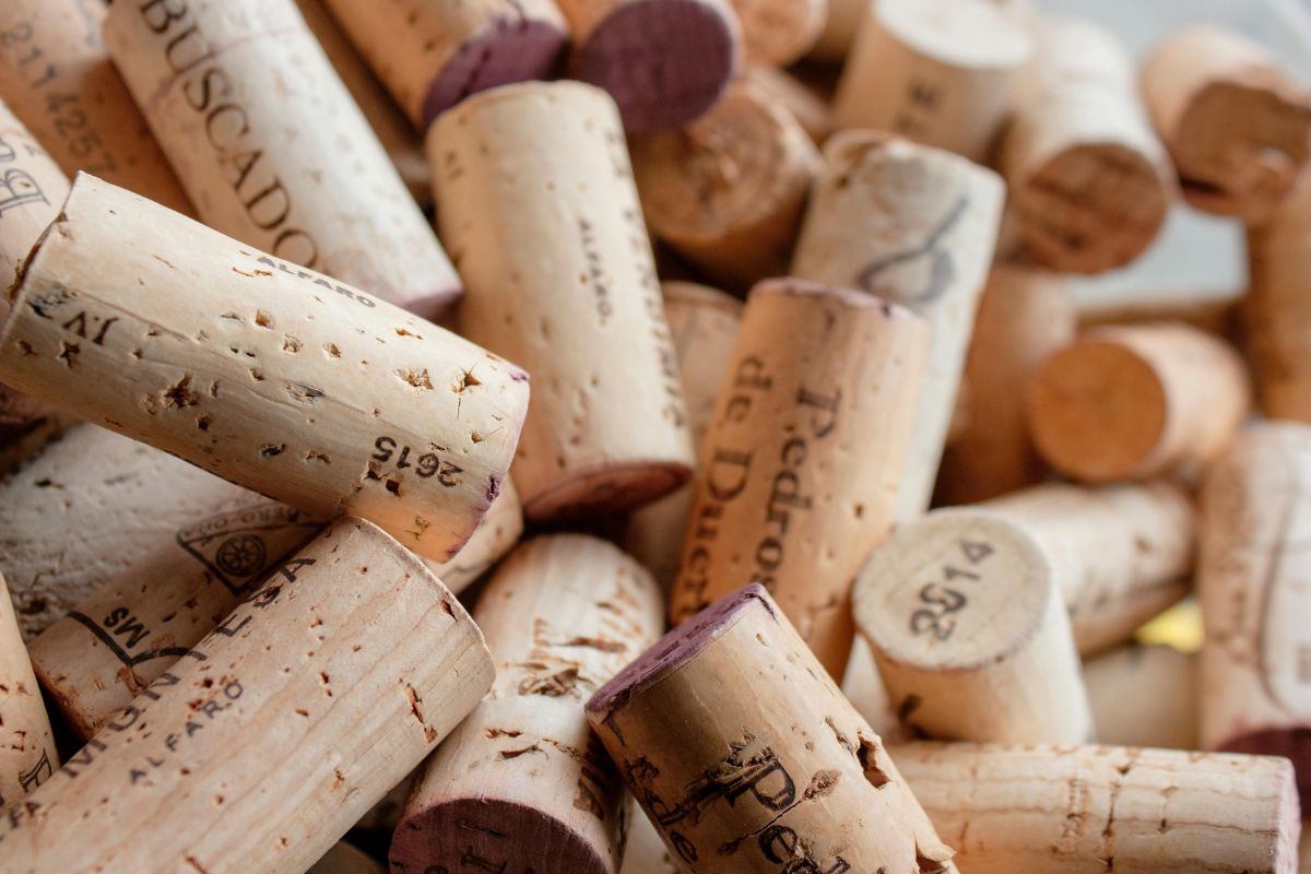 6480846130354 2025 06 11t144005.203