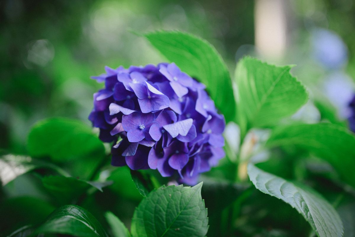 6480846130354 2026 02 12t091215.846